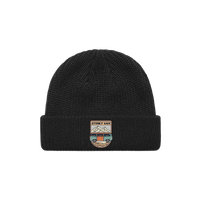 Czapka zimowa Stinky - stinky van /black/